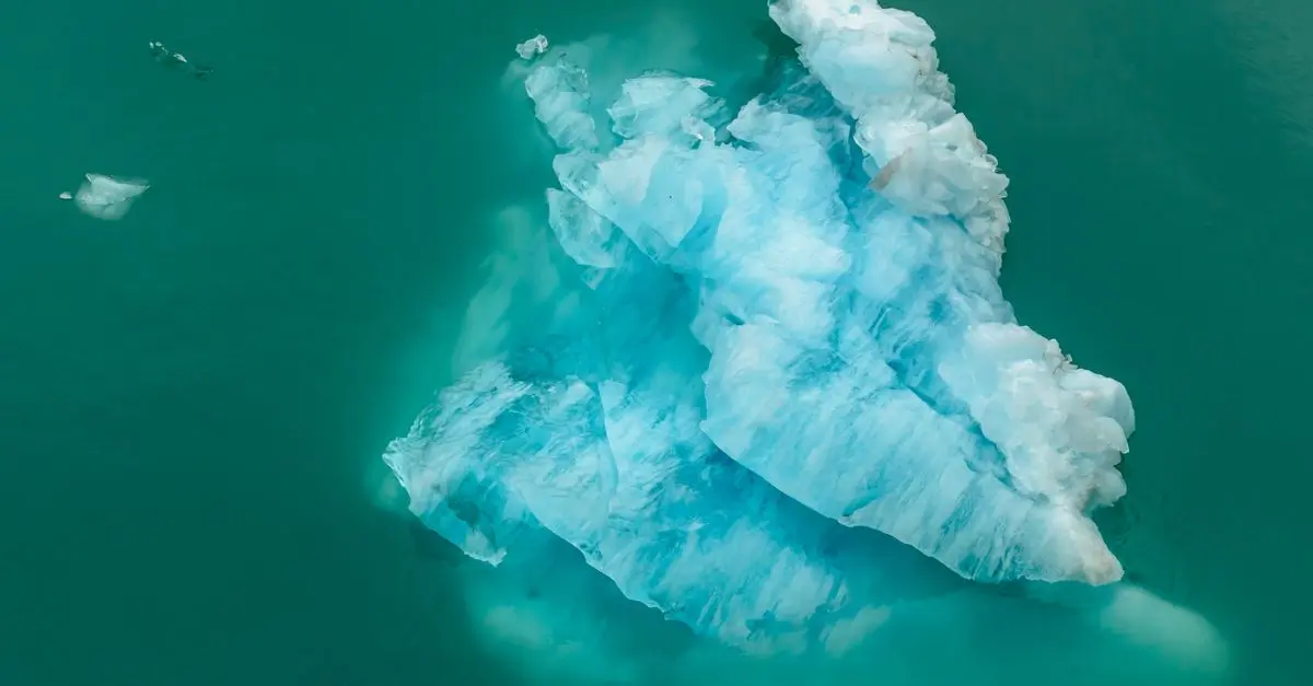 Comment le changement climatique affecte-t-il la faune