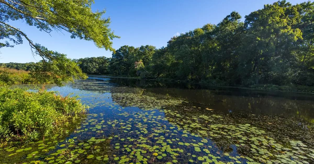Comment préserver les habitats naturels pour la faune