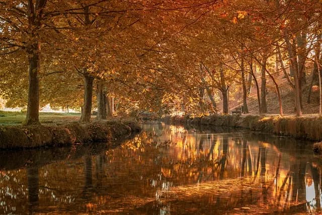 Les 10 meilleurs conseils pour photographier la faune sauvage
