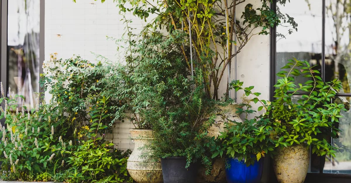 10 Plantes Indigènes pour Attirer la Faune dans Votre Jardin