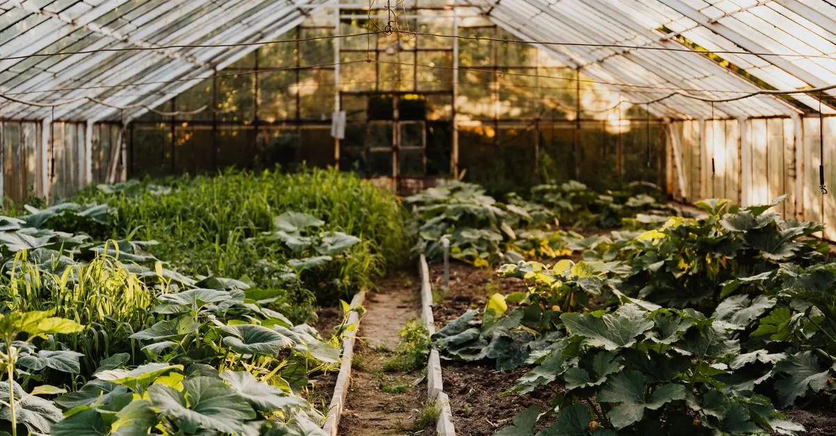 Les avantages du compostage pour un jardin écologique