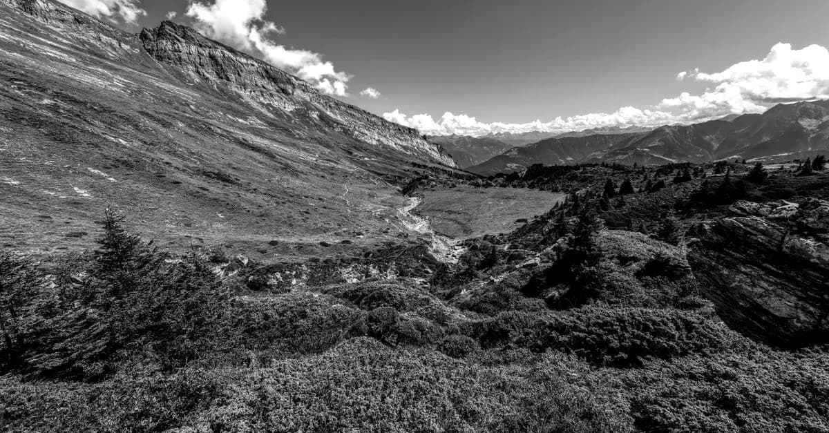 Comparaison des habitats de la flore alpine