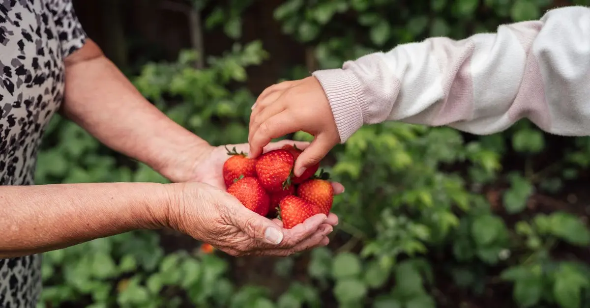 Les meilleures stratégies pour protéger la biodiversité locale