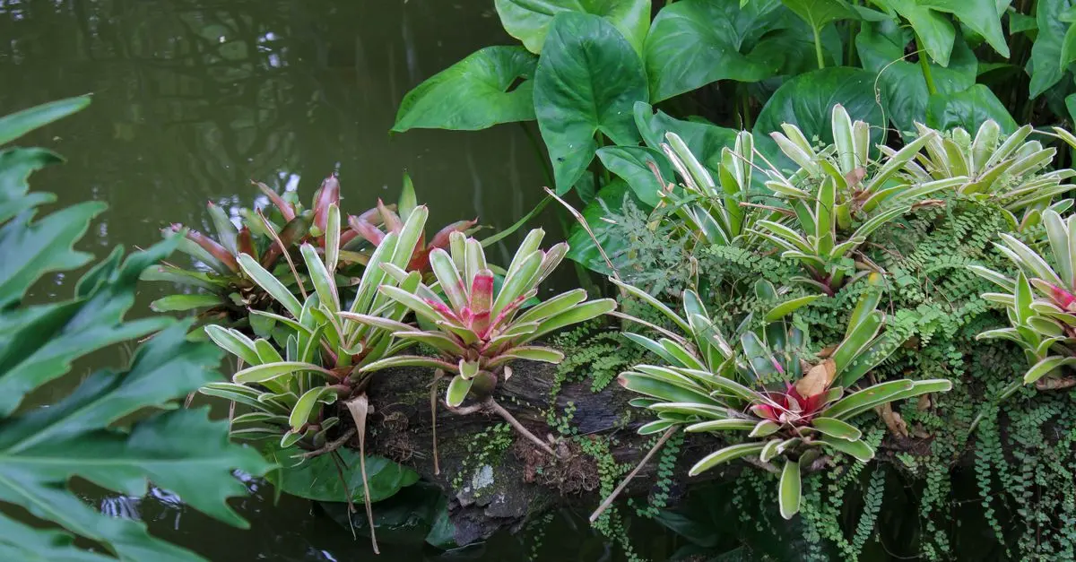 Comment créer un jardin naturel pour encourager la faune