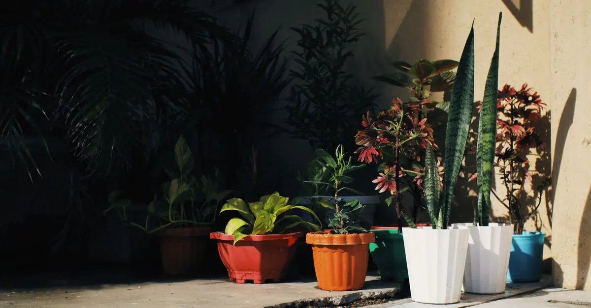 Les tendances écoresponsables pour jardinage en 2026