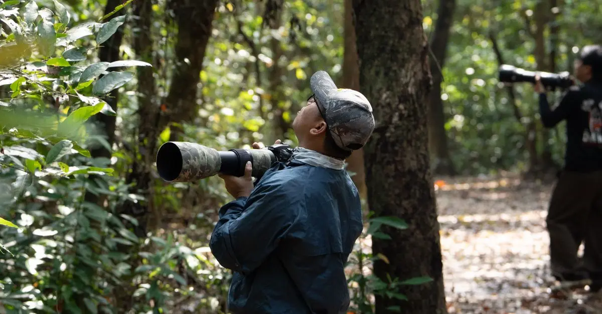 7 erreurs courantes à éviter lors de l'observation de la faune