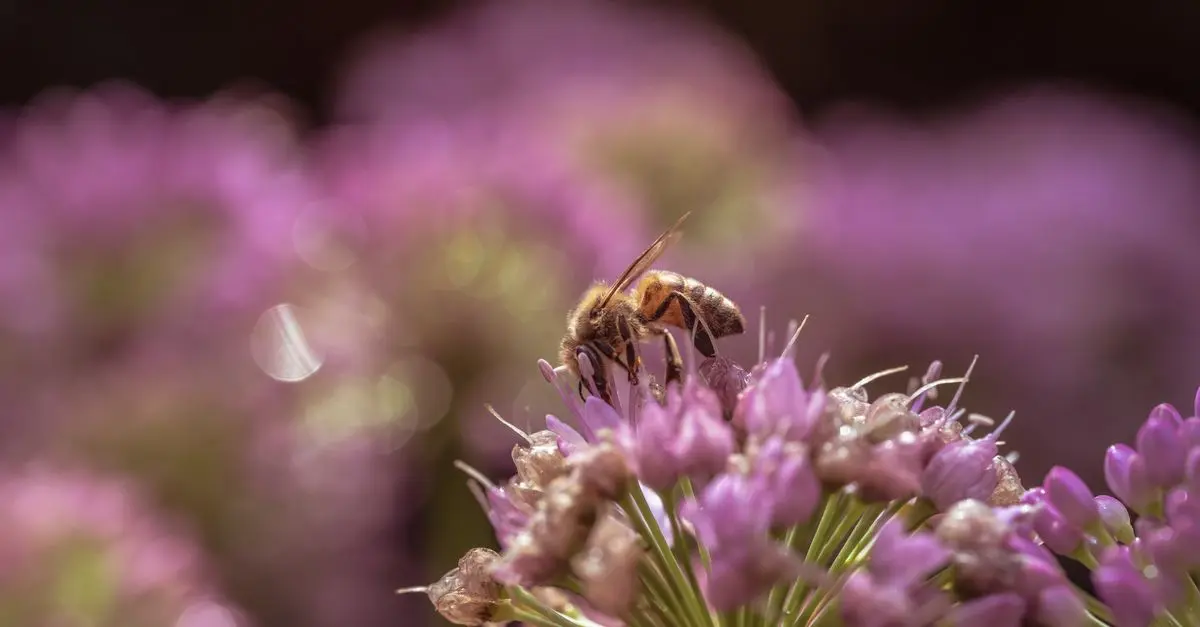 Comment créer un jardin attractif pour les abeilles