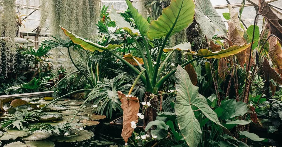 Comment encourager la biodiversité dans votre jardin
