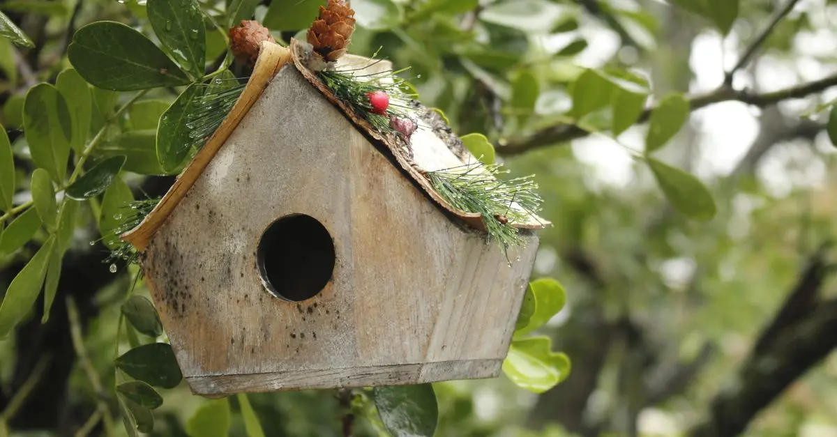 Les meilleures pratiques pour protéger la faune en milieu urbain