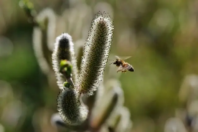 Comment créer un abri pour la faune dans votre jardin
