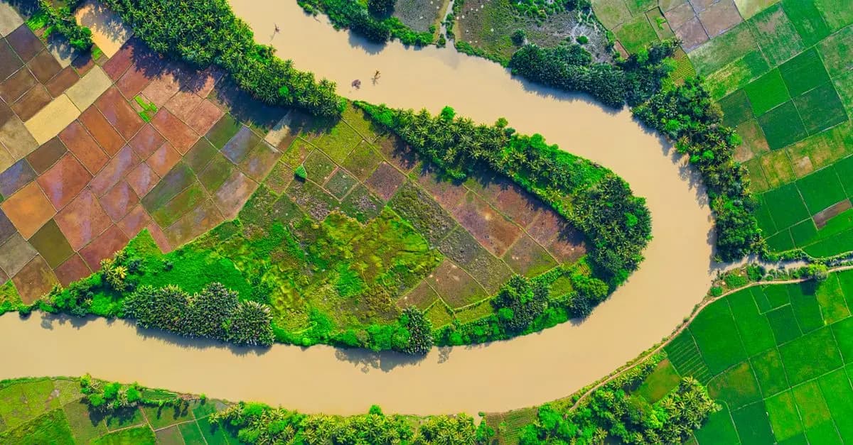 Top 5 des documentaires sur la planète à voir absolument
