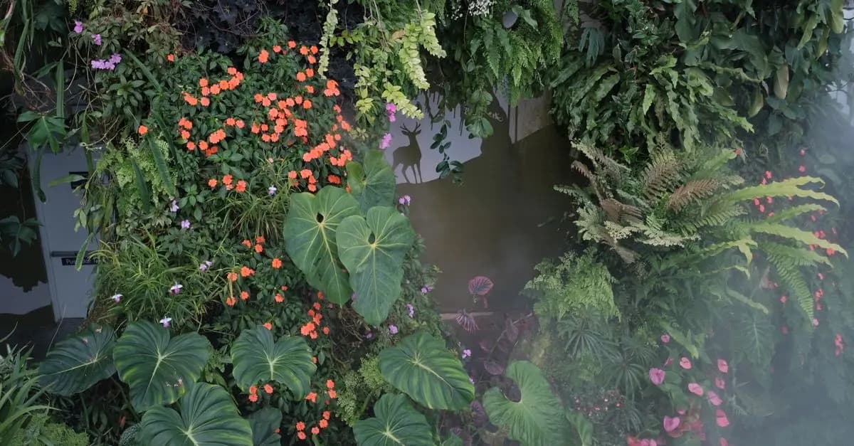 Guide pratique pour créer un jardin sauvage en ville