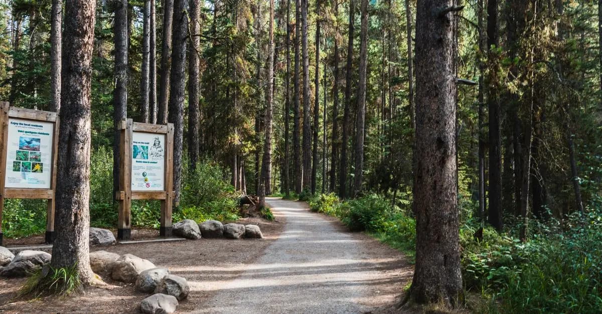 Top 10 des parcs nationaux à visiter avec la famille