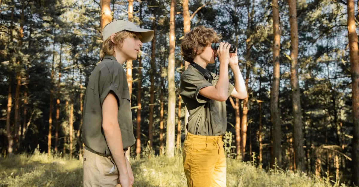 La faune nocturne : Tout savoir pour bien l'observer
