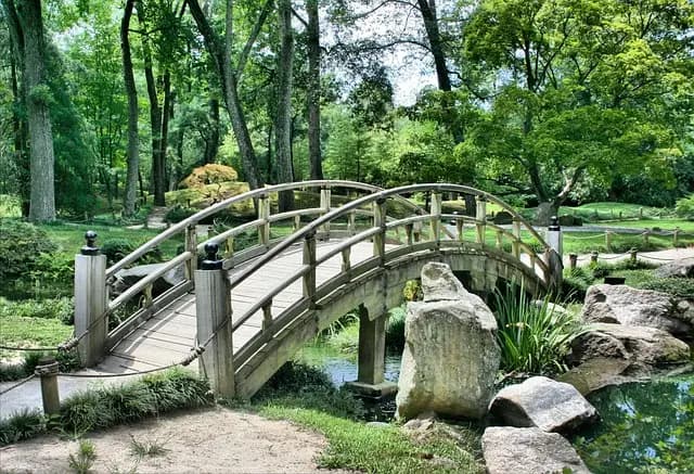 Les bienfaits des jardins sauvages pour la biodiversité