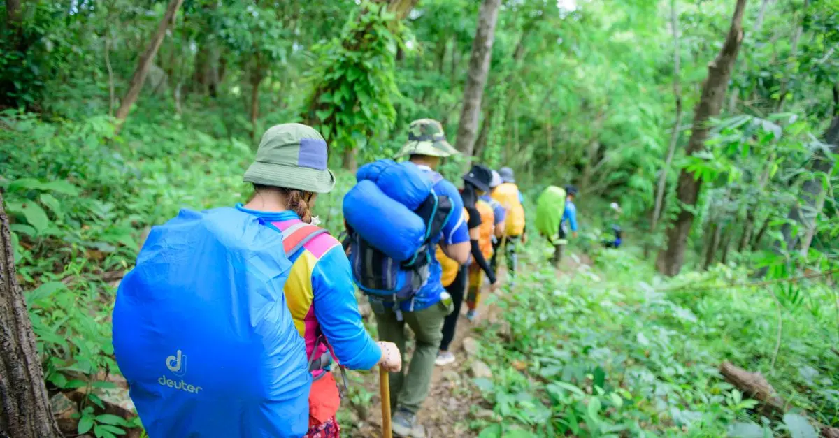 Les astuces pour organiser une sortie nature inoubliable