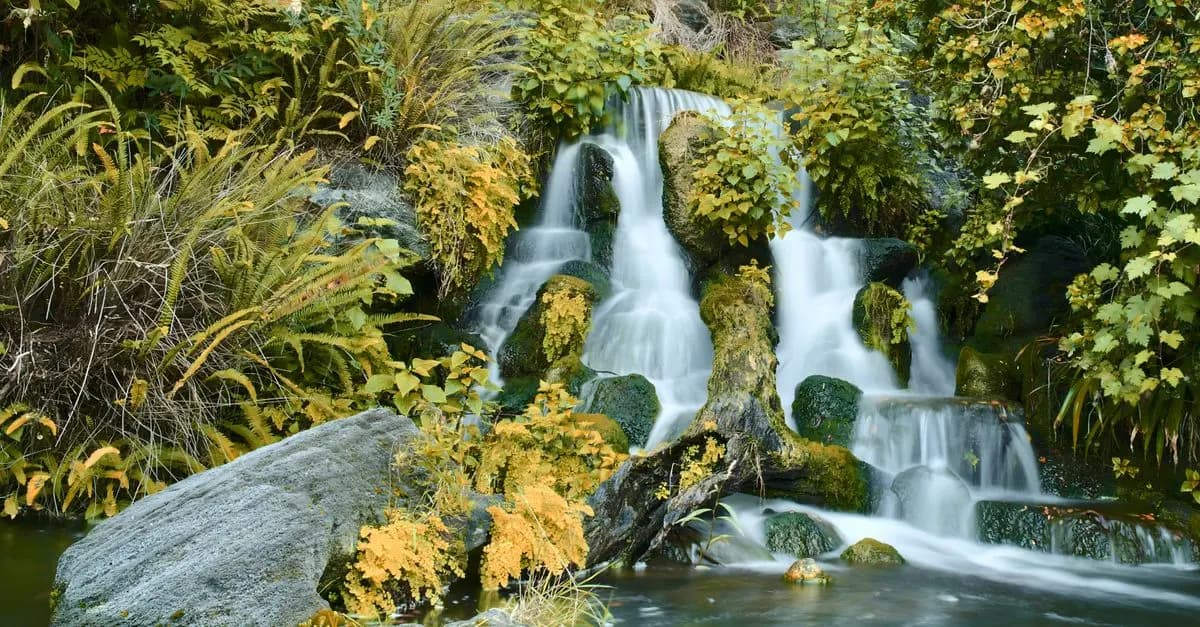 Comment construire un jardin accueillant pour la faune