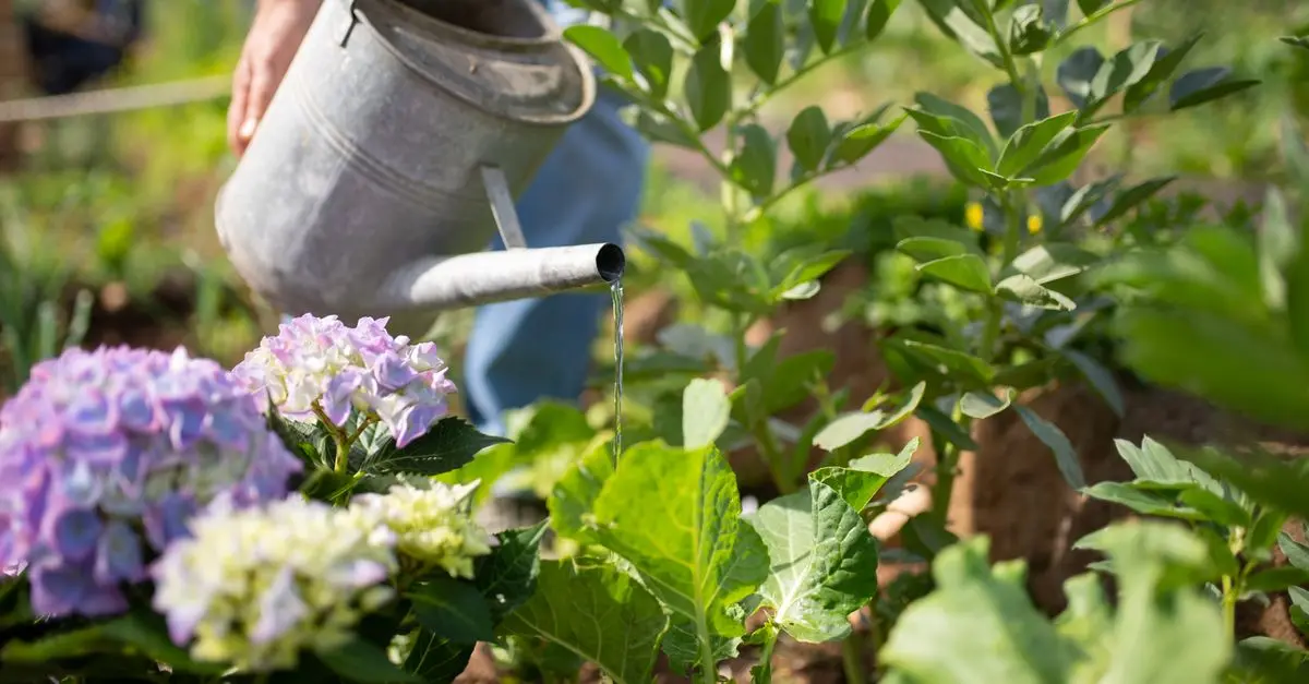 Comment créer un écosystème auto-suffisant dans votre jardin