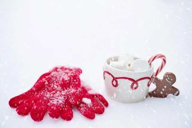 Comment soutenir la faune pendant l'hiver : conseils pratiques