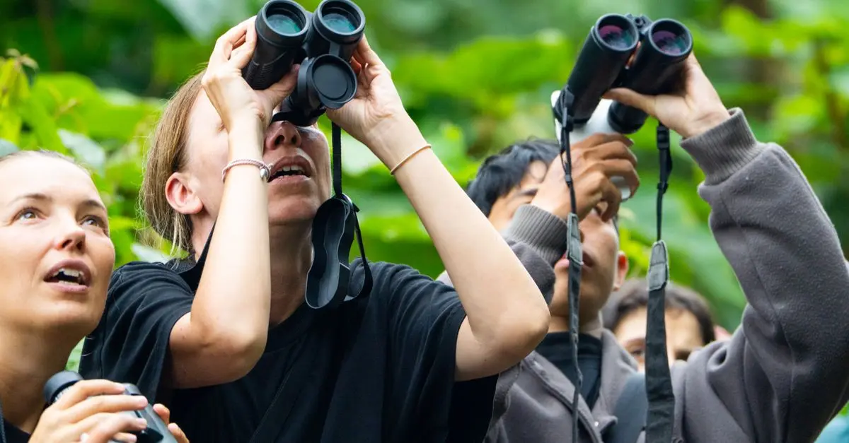 7 erreurs à éviter lors de l'observation des oiseaux