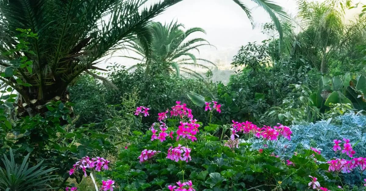 Comment créer un jardin naturel adapté à la faune