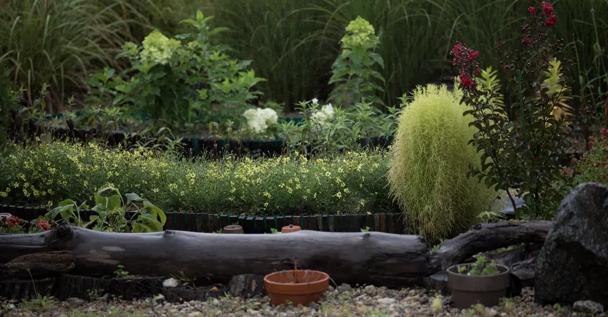 Comment créer un havre de paix pour la faune dans votre jardin