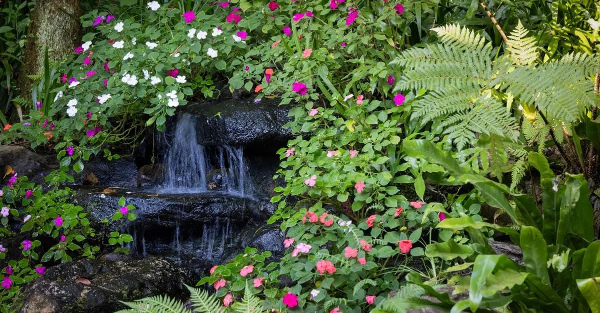 Comment créer un jardin d'hiver pour accueillir la faune