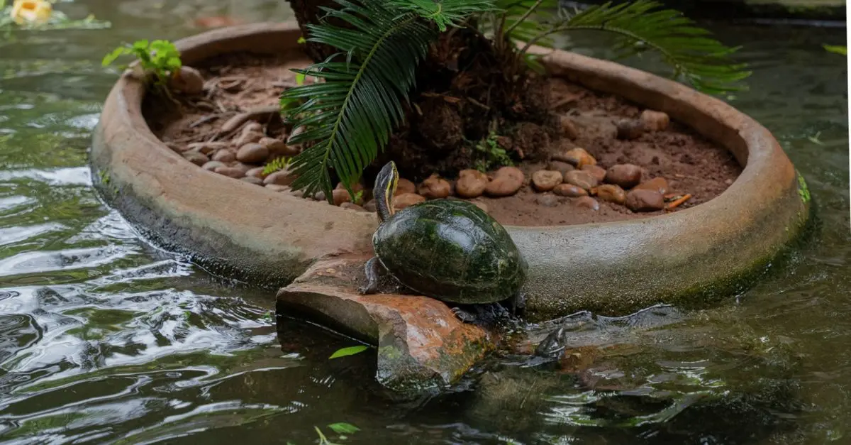 Pourquoi les reptiles sont un maillon important de l'écosystème