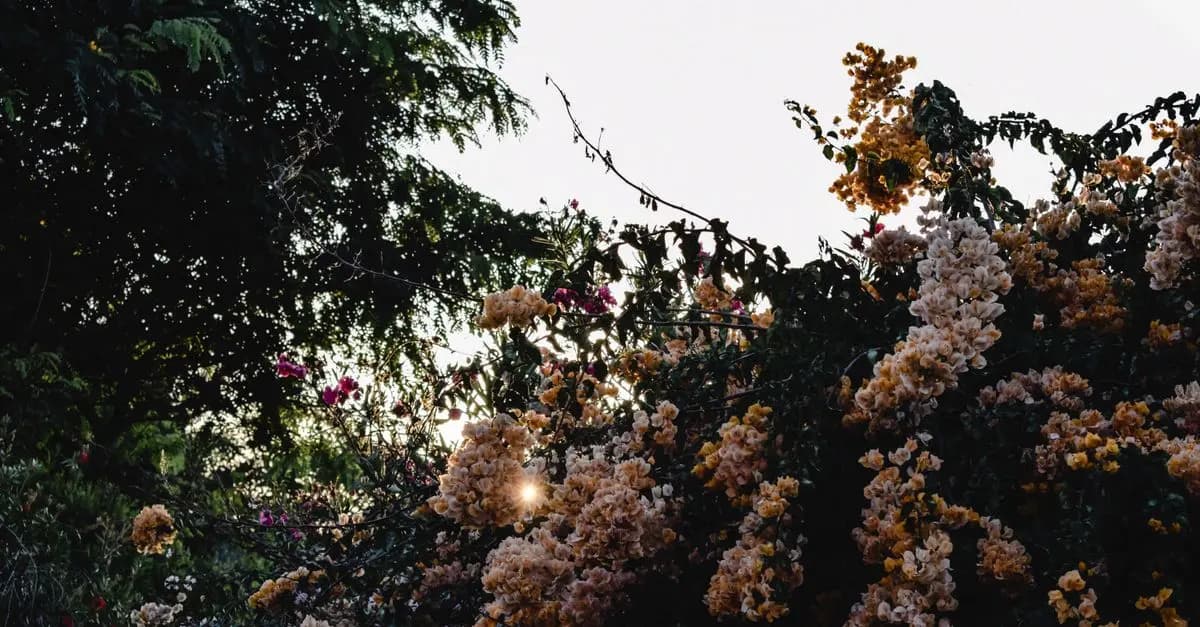 Comment créer un jardin favorable à la biodiversité