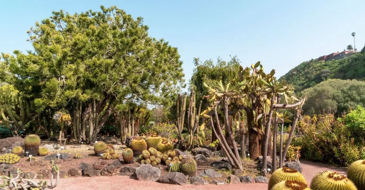 Pourquoi le jardinage écologique est essentiel pour la faune