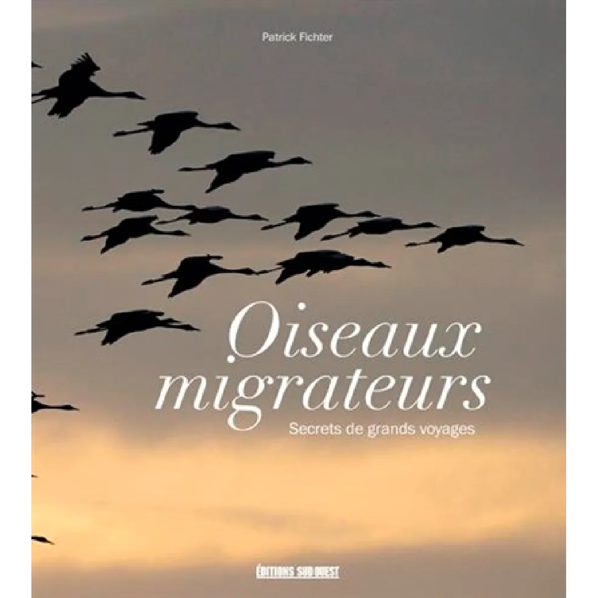 Oiseaux migrateurs : secrets de grands voyageurs