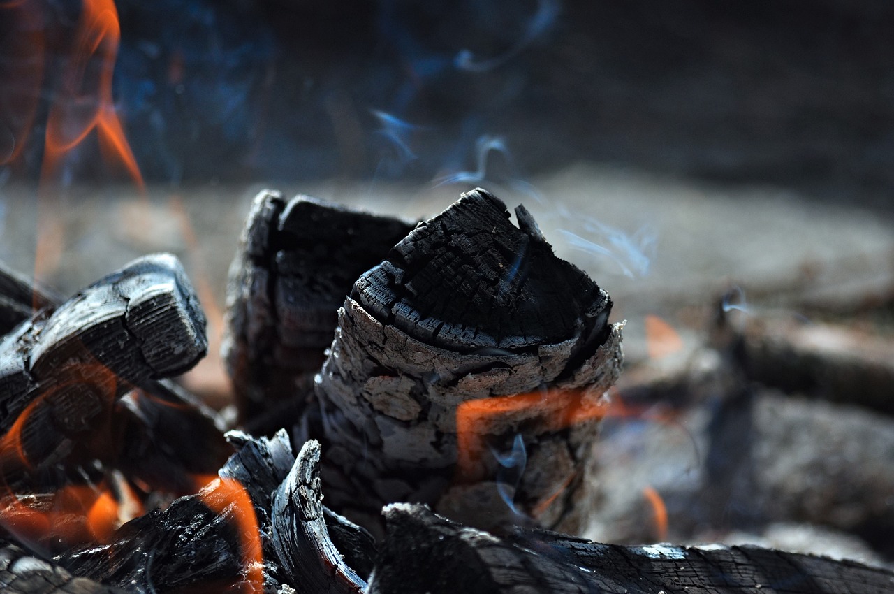 découvrez le concept de dividende carbone, une approche innovante pour lutter contre le changement climatique en redistribuant les revenus générés par la taxe carbone, tout en soutenant les ménages et en encourageant des pratiques écologiques.