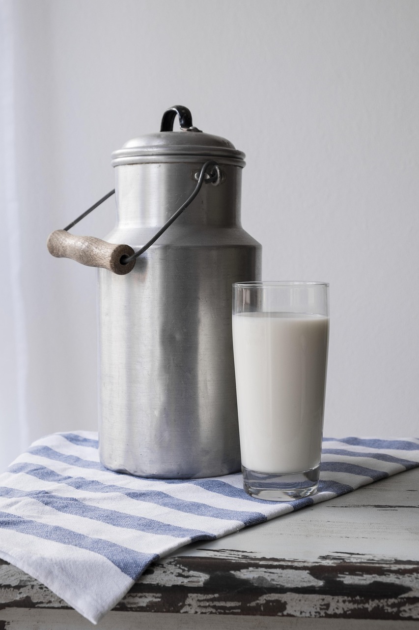 découvrez les laits végétaux, une alternative saine et délicieuse aux produits laitiers. explorez les bienfaits de ces boissons à base de plantes, idéales pour les intolérants au lactose et les adeptes d'un mode de vie durable.