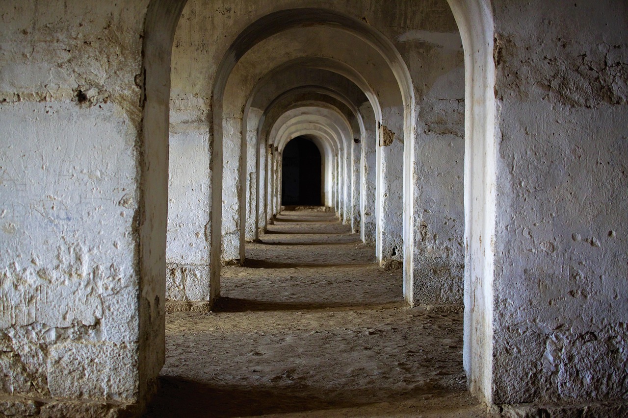 découvrez l'importance des corridors écologiques pour la faune, permettant aux animaux de se déplacer en toute sécurité tout en préservant leur habitat naturel. explorez comment ces voies sauvages contribuent à la biodiversité et à l'équilibre des écosystèmes.